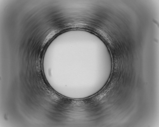 X0000096160978200802081430