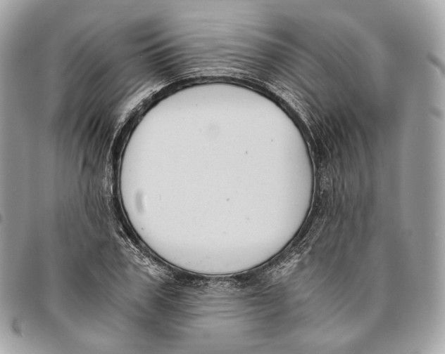 X0000096160979200802081430