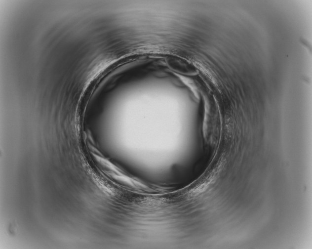 X0000096160981200802081430