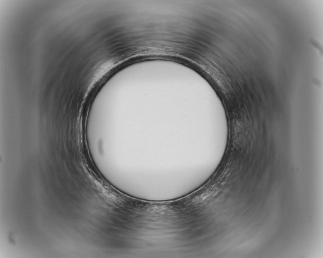 X0000096160982200802081430