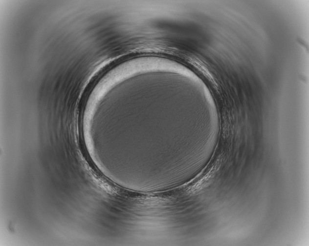 X0000096160984200802081430