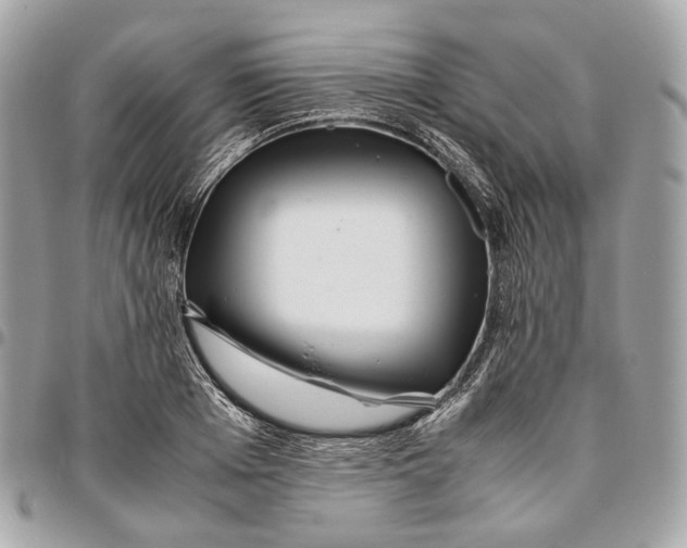 X0000096160985200802081430