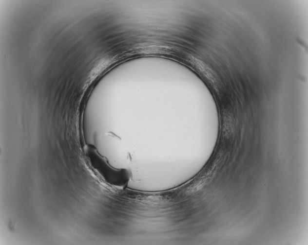 X0000096160986200802081430