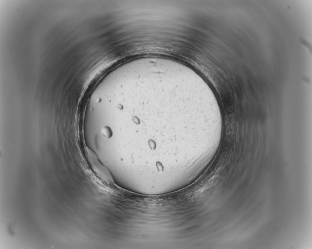 X0000096160987200802081430