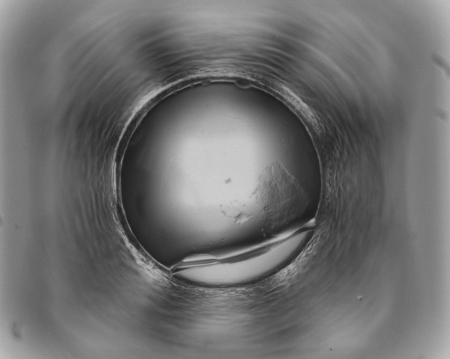 X0000096160988200802081430