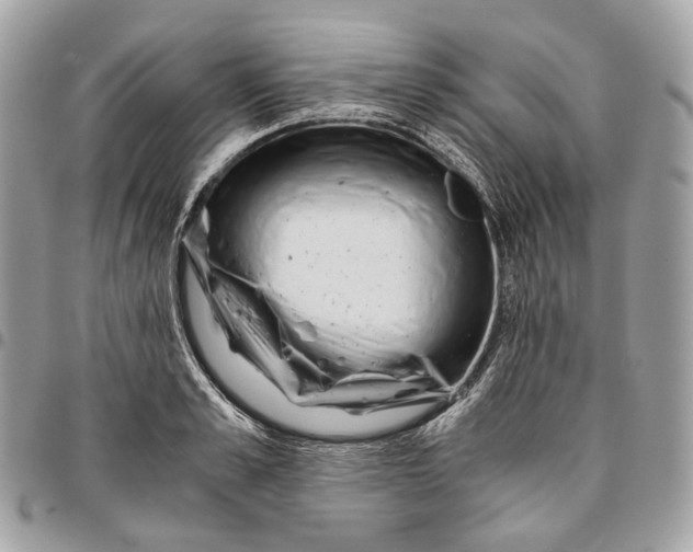 X0000096160989200802081430