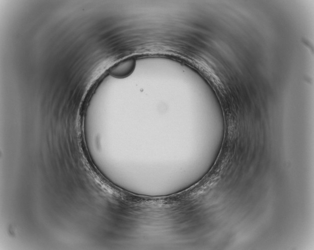 X0000096160990200802081430