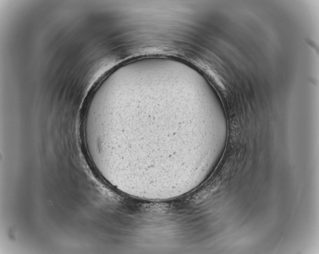 X0000096160991200802081430