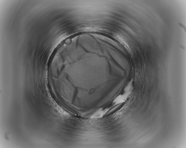 X0000096160992200802081430