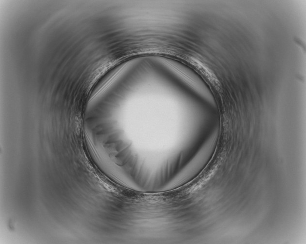 X0000096160993200802081430