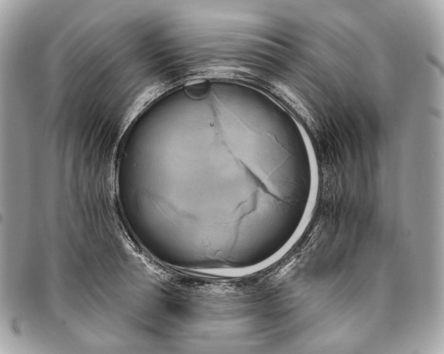 X0000096160994200802081430