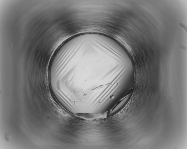 X0000096160996200802081430