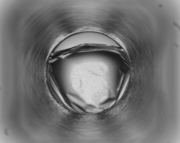 X0000096160997200802081430