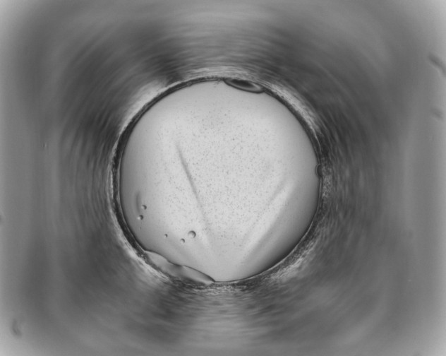 X0000096160999200802081430