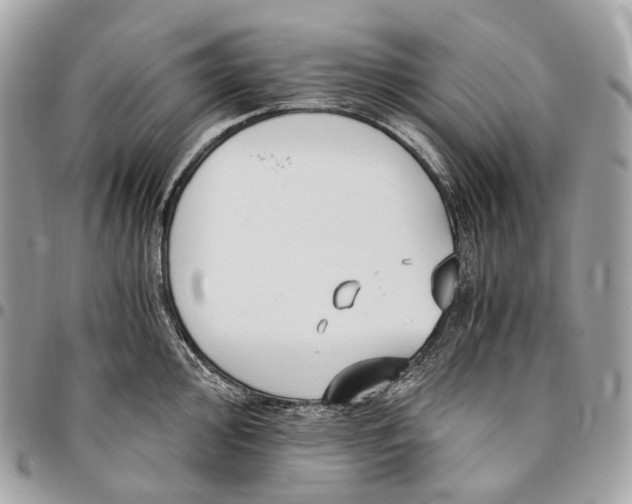 X0000096161000200802081430