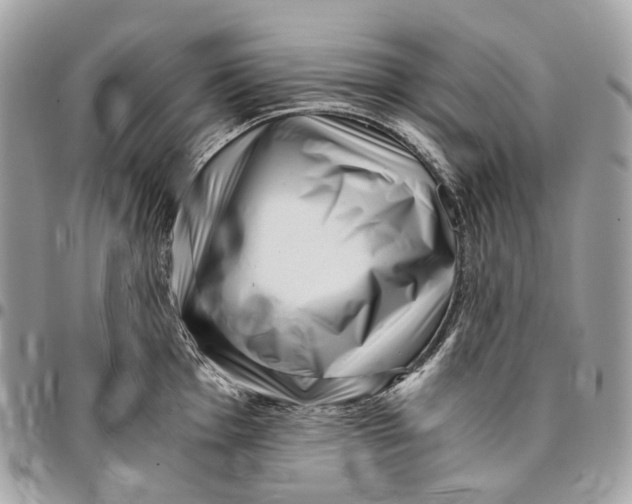 X0000096161001200802081430