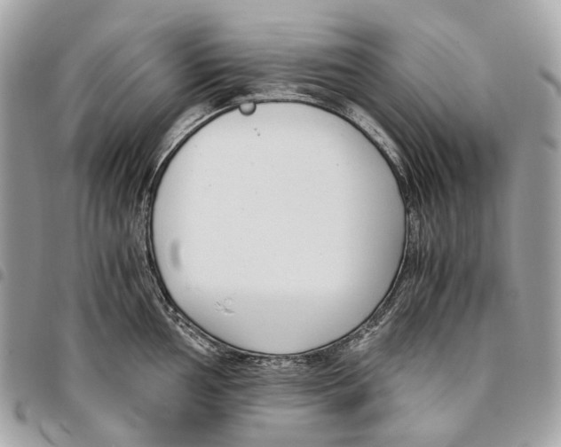 X0000096161002200802081430