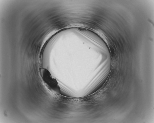 X0000096161003200802081430