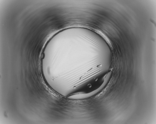 X0000096161004200802081430