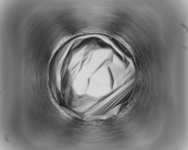 X0000096161005200802081430