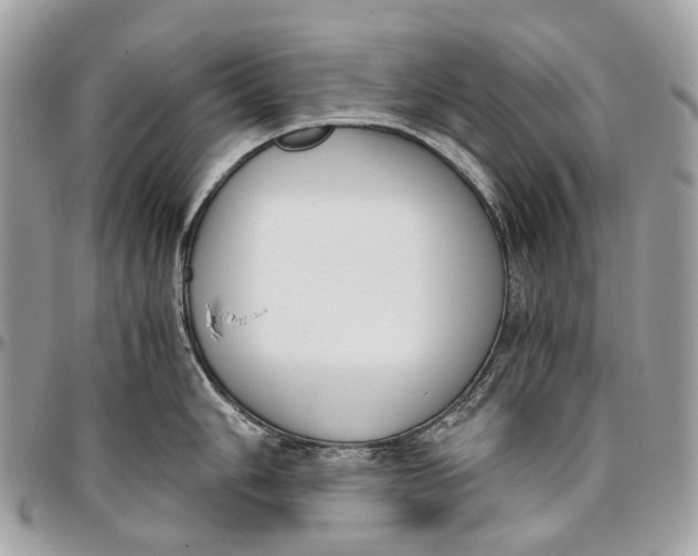 X0000096161006200802081430