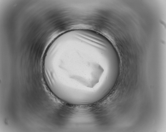 X0000096161008200802081430