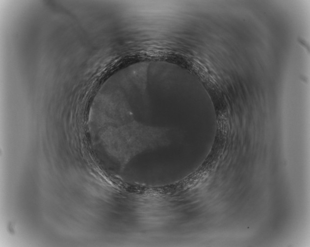 X0000096161009200802081429