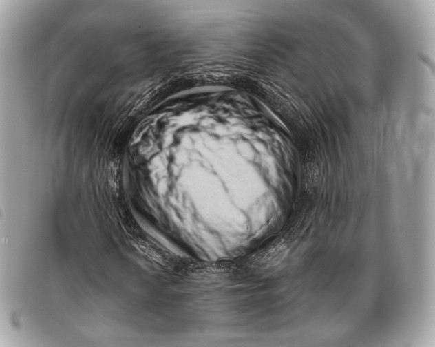 X0000096161010200802081429