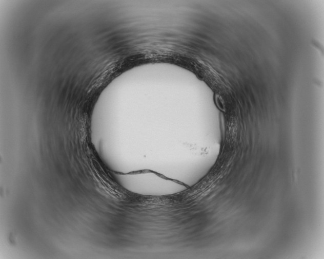 X0000096161012200802081429