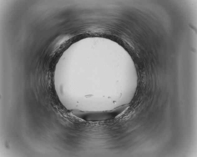 X0000096161016200802081429