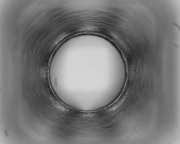 X0000096161017200802081429