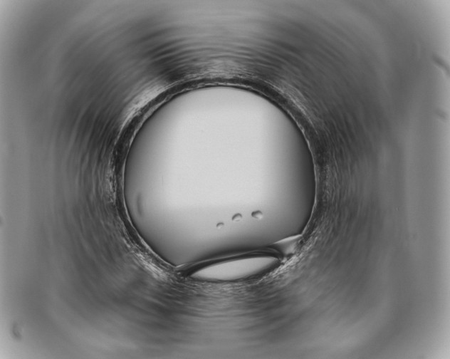 X0000096161018200802081429