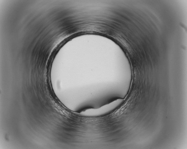 X0000096161020200802081429