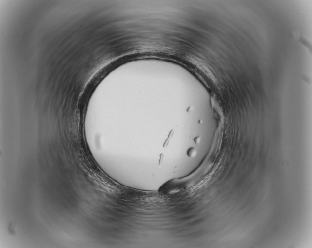 X0000096161021200802081429