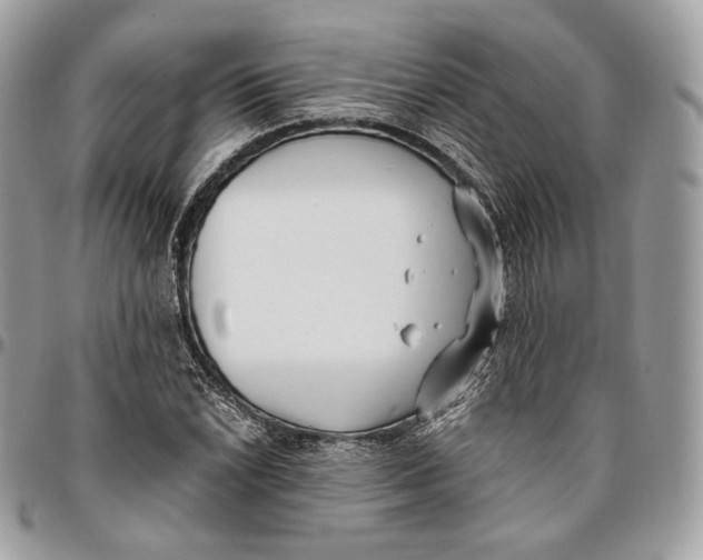 X0000096161022200802081429