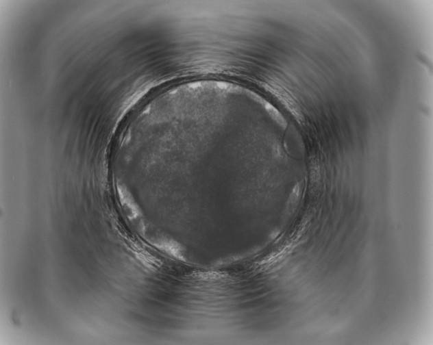 X0000096161023200802081429