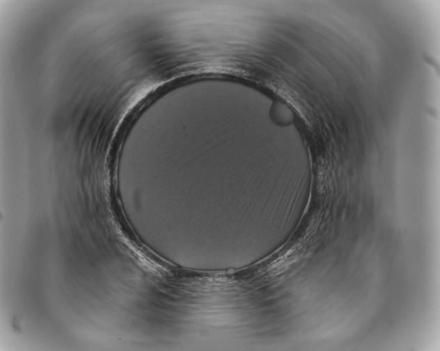 X0000096161024200802081429