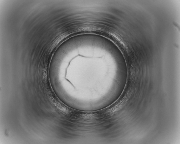 X0000096161025200802081429