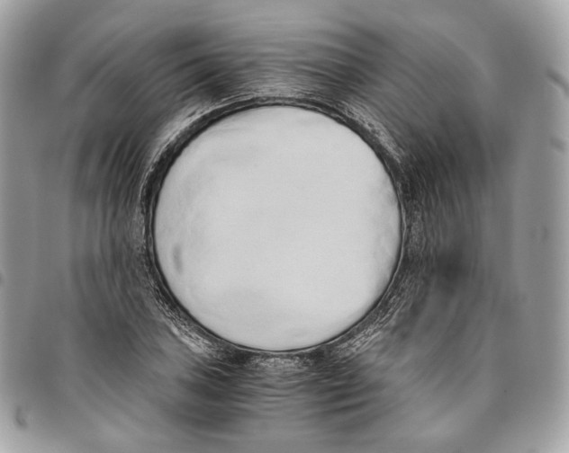 X0000096161027200802081429