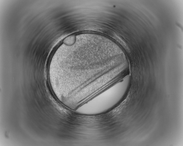 X0000096161028200802081429