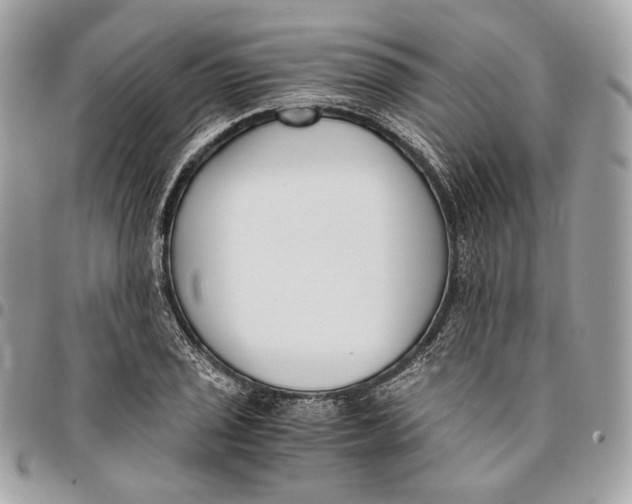 X0000096161029200802081429