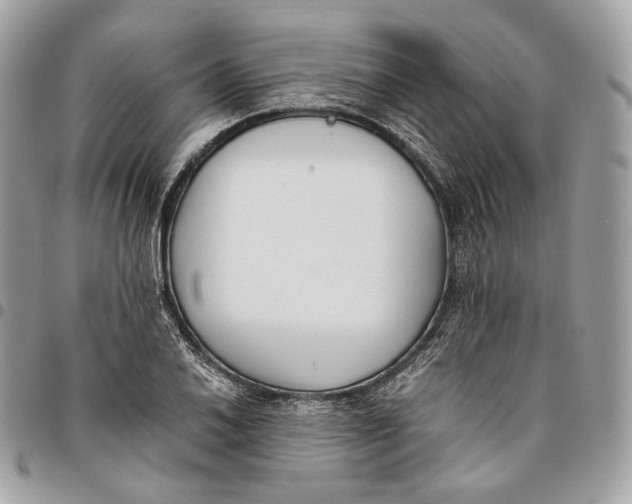 X0000096161030200802081429