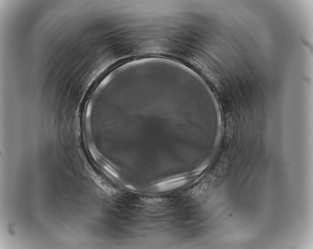 X0000096161031200802081429