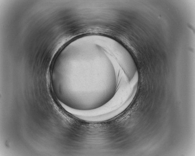 X0000096161032200802081429