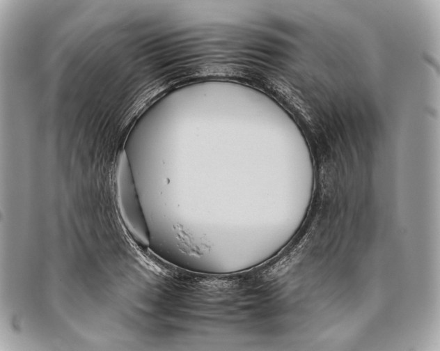 X0000096161033200802081429