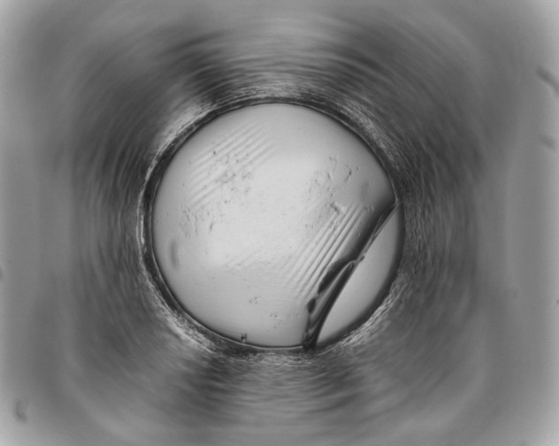 X0000096161034200802081429