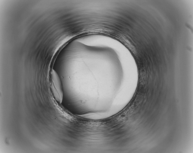 X0000096161036200802081429