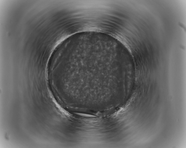 X0000096161037200802081429