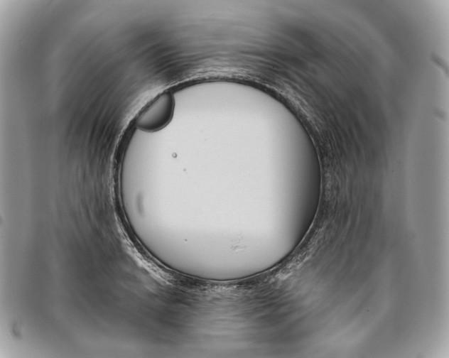 X0000096161038200802081429