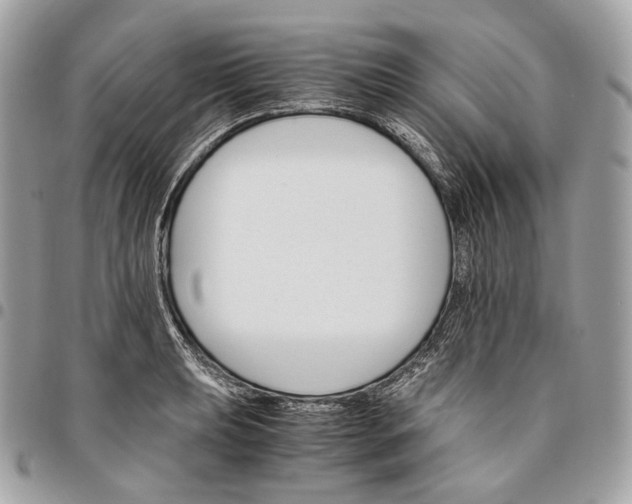 X0000096161039200802081429